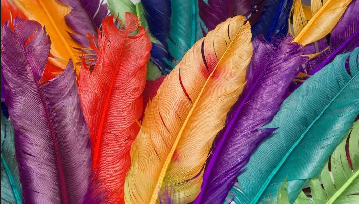 Хүн бүр “БҮТЭЭЛЧ” …